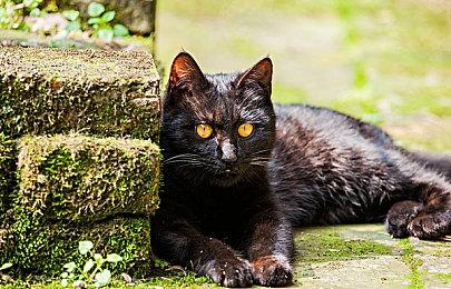 游戏巨头网易不断挖人投资 国外大型发行商压力很大